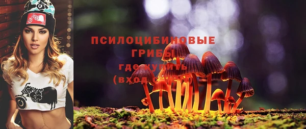 тгк Алексеевка
